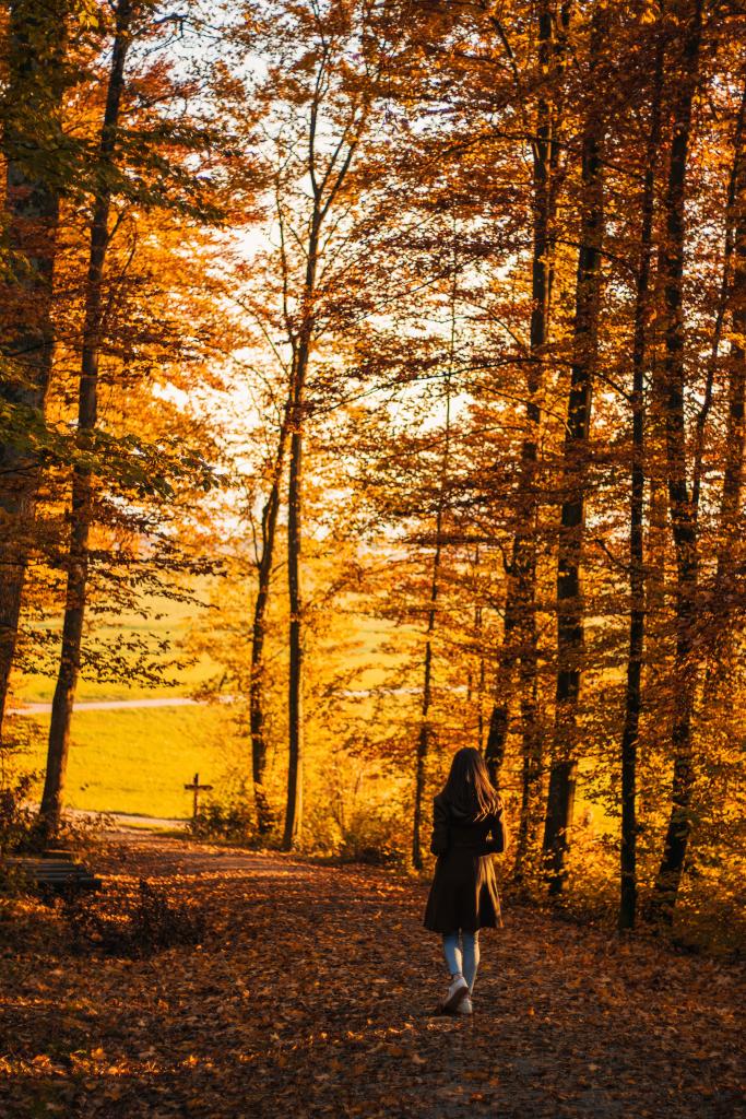 Femme marchant seule dans une forêt aux tons dorés d'automne, illustrant la traversée progressive du deuil — un chemin qui se fait un pas à la fois, dans la beauté mélancolique de la perte.