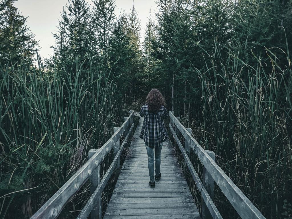  Femme marchant seule sur un chemin naturel, vue de dos, illustrant le fait de traverser la culpabilité liée aux limites comme on traverse un chemin — pas sans inconfort, mais en avançant.