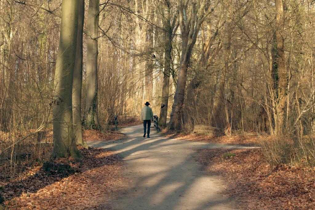 Personne de dos à un carrefour de chemins forestiers en lumière d'automne, illustrant l'hésitation et la réflexion face au changement et aux transitions de vie.